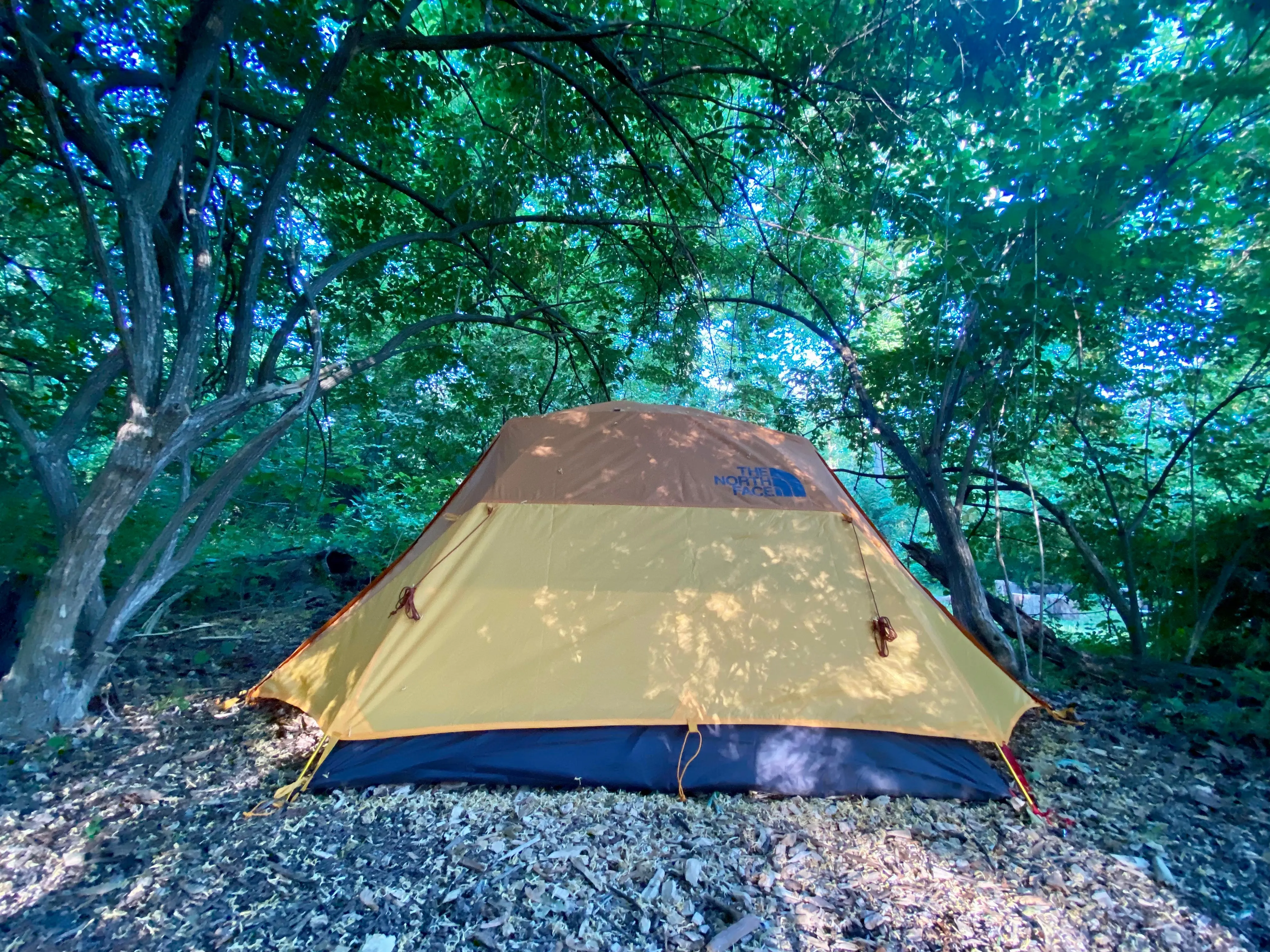Campsite Rental